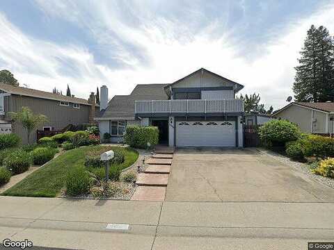 Sugar Maple, CITRUS HEIGHTS, CA 95610