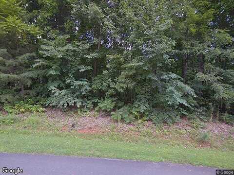 Smoketree, FOREST, VA 24551