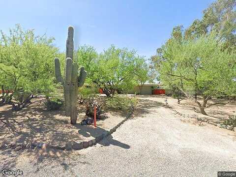 Egret, CAVE CREEK, AZ 85331