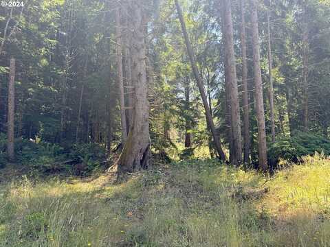 Fiddle Back Rd, North Bend, OR 97459