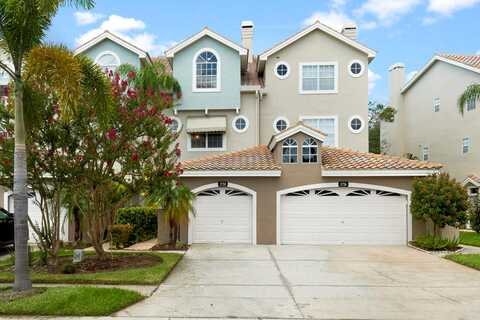 Arabian, PALM HARBOR, FL 34685