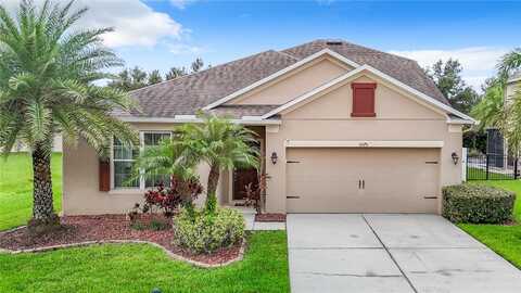 Sweet William, LAND O LAKES, FL 34639