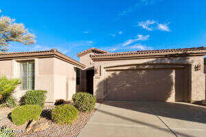 Narrowleaf, GILBERT, AZ 85298