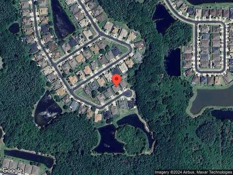 Salmonberry, WESLEY CHAPEL, FL 33543