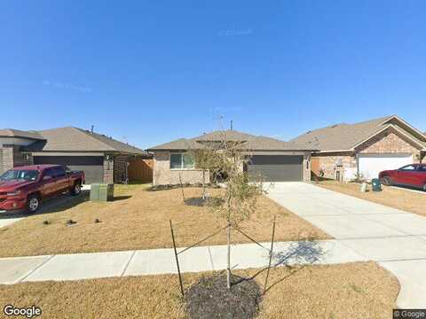 Silver Egret, LA MARQUE, TX 77568