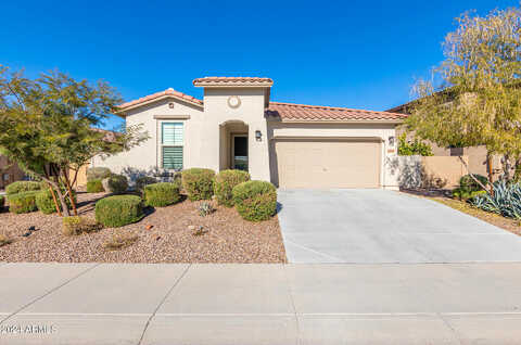 Lone Tree, PEORIA, AZ 85383