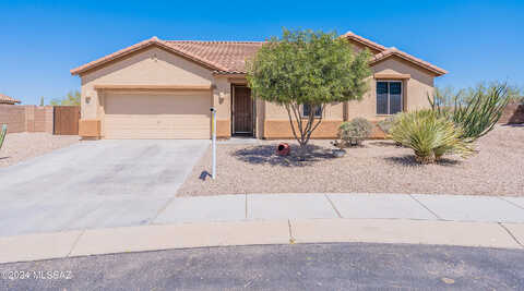 Brown Ware, MARANA, AZ 85658