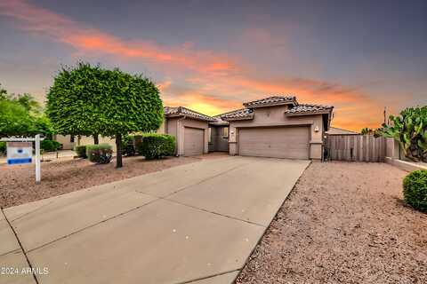 Elderberry, GOLD CANYON, AZ 85118