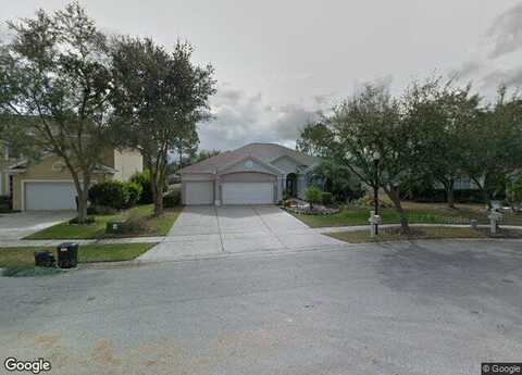 Bay Laurel Ct, Tampa, FL 33647