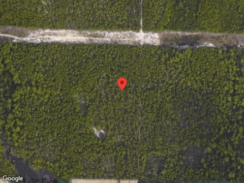 E Pollard Cv Lot 17, Inlet Beach, FL 32461