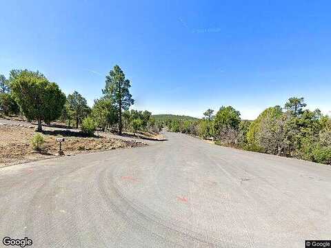 S Canyon Ridge Trail, Show Low, AZ 85901
