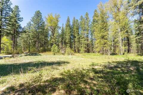 Green Road, Winthrop, WA 98862