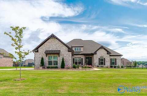 Stafford View, MERIDIANVILLE, AL 35759