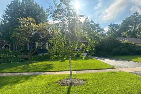 Arthur, CLARENDON HILLS, IL 60514