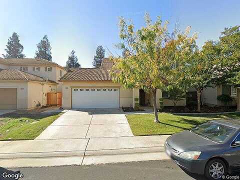 Cinnamon Teal, ELK GROVE, CA 95757