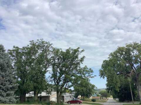 Washington, BANCROFT, NE 68004