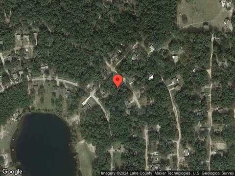 Palm, LADY LAKE, FL 32159