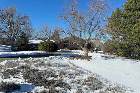 Bison, LITTLETON, CO 80123