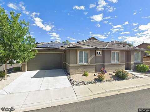 Russian Thistle, SPARKS, NV 89436