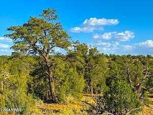 Red Butte Road -, Williams, AZ 86046