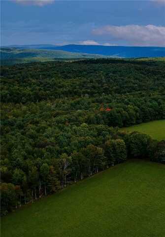 Lot 5c Cornell Road, Blenheim, NY 12167