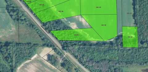 Lot 34A Christian Home Rd, Pitts, GA 31072