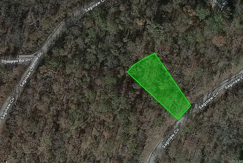 Lot 30 Block 4 Saginaw CR, Cherokee Village, AR 72529