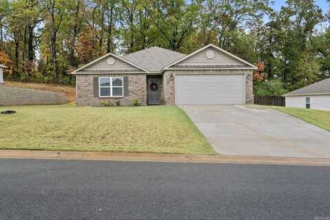 19 Erwin Drive, Austin, AR 72007