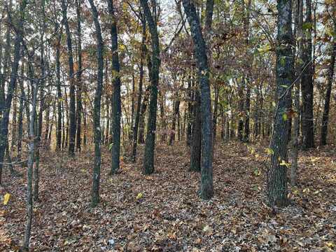 37.64 AC Dubuque Road, Omaha, AR 72662