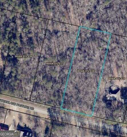 0 Strickland Pasture, Jackson, GA 30233