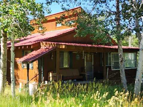 22991 Divide Creek Road, Collbran, CO 81624