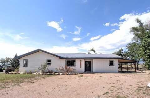 21603 Vaca Drive, Eckert, CO 81418