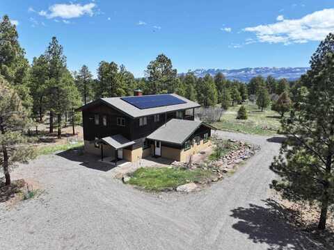 66 Blue Stem, Ridgway, CO 81432