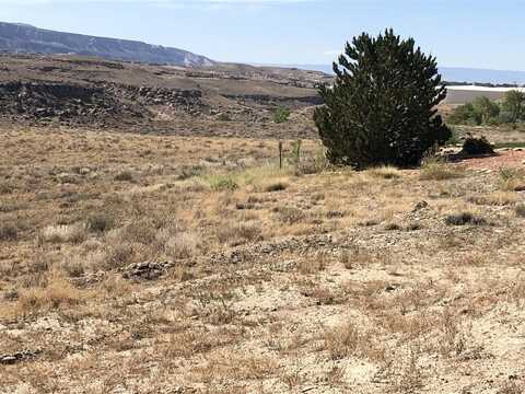 191 River Ridge Drive, Grand Junction, CO 81503