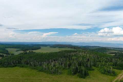 Tbd Alpine Plateau Road, Cimarron, CO 81220