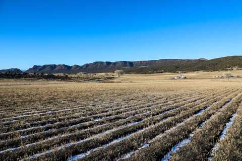 Tbd Tract 8 Bostwick Park Road, Montrose, CO 81403