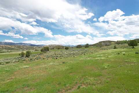 22465 Horsefly Road, Montrose, CO 81403