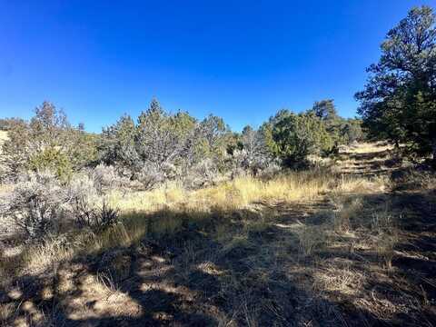 Tbd Cactus Park Road, Cedaredge, CO 81413