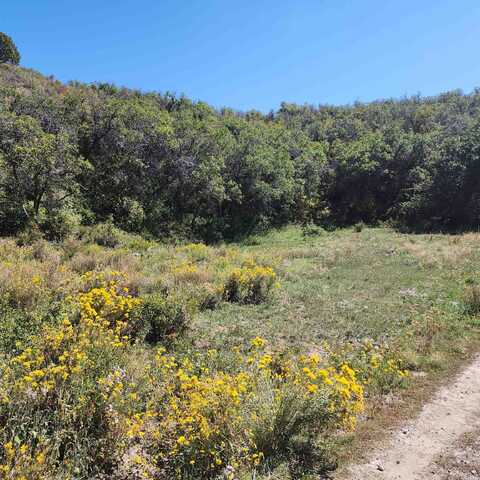 Tbd Eagle Feather Trail, Crawford, CO 81415