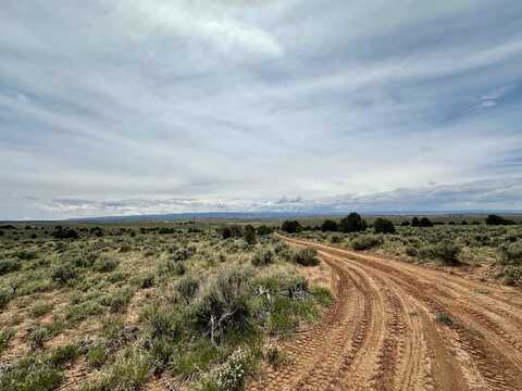 15451 Holloway Lane, Glade Park, CO 81523