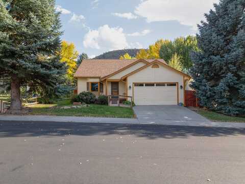 607 Ginseng Road, New Castle, CO 81647