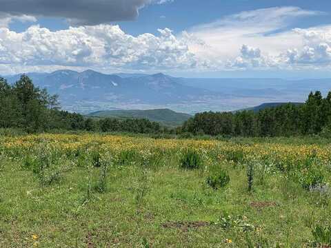 Tbd Fs Rd 128 Forest Service Road, Hotchkiss, CO 81419