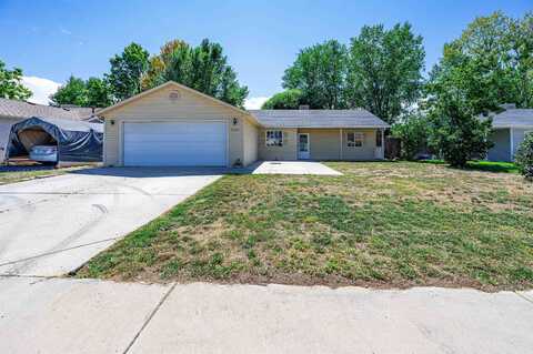 1358 Sagittarius Street, Fruita, CO 81521