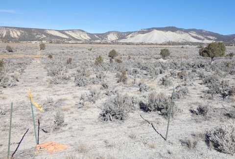 Tbd Lot 1 Buckhorn Road, Montrose, CO 81403