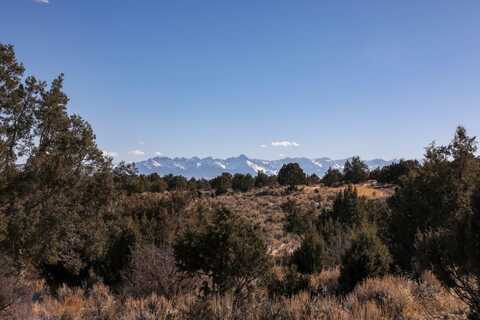 Tbd Tract 5 Bostwick Park Road, Montrose, CO 81403