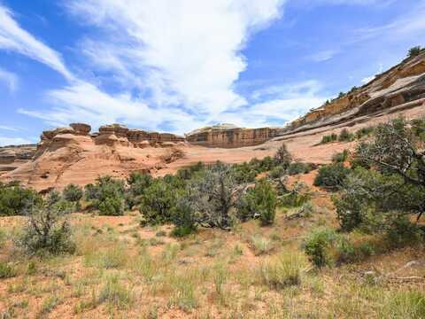 1347 I 1/2 Road, Fruita, CO 81521