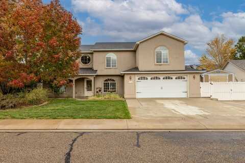 878 Darcy Jo Lane, Fruita, CO 81521