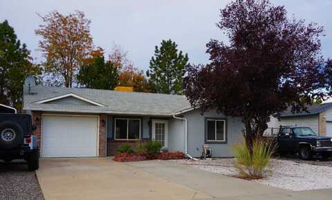 3178 N Torreys Peak, Grand Junction, CO 81504