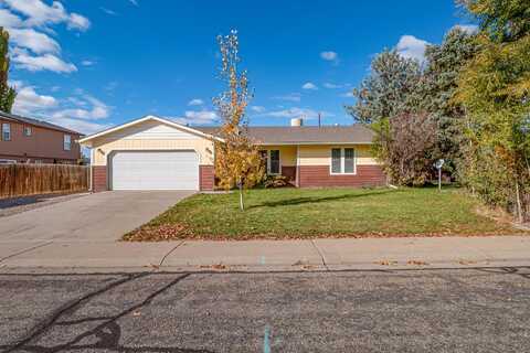 710 Pinyon Court, Fruita, CO 81521