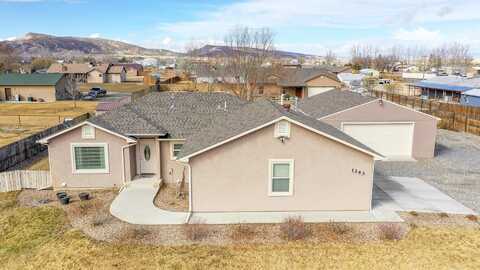 1343 13 3/10 Road, Loma, CO 81524